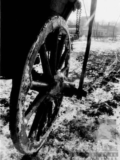 THM-BJ-06291 - Nagyszokoly, South Hungary, 1981 