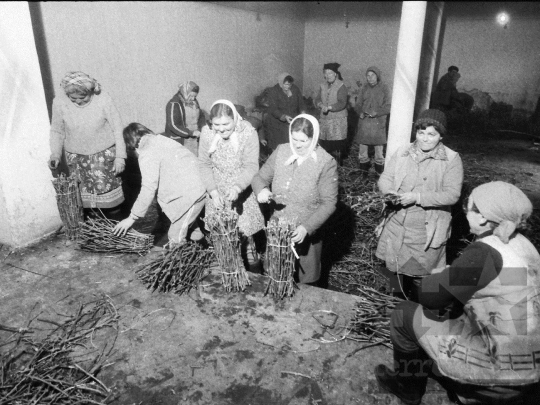 THM-BJ-06333 - Felsőnyék, South Hungary, 1981 