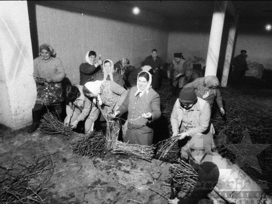 THM-BJ-06335 - Felsőnyék, South Hungary, 1981 