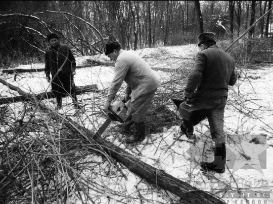 THM-BJ-06337 - Sióagárd, South Hungary, 1981