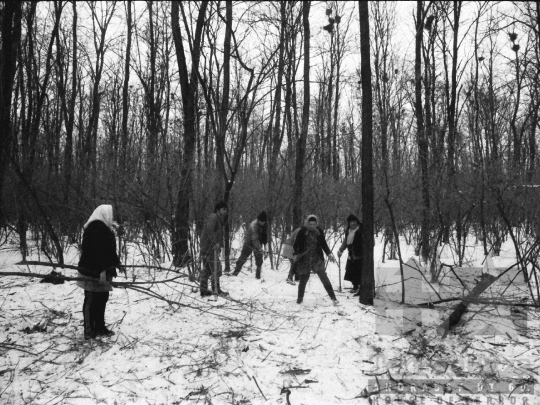 THM-BJ-06338 - Sióagárd, South Hungary, 1981