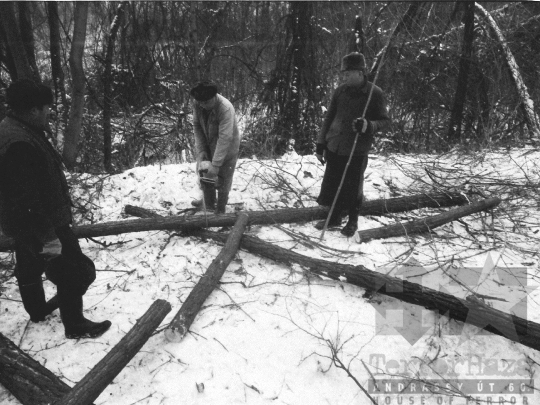 THM-BJ-06340 - Sióagárd, South Hungary, 1981