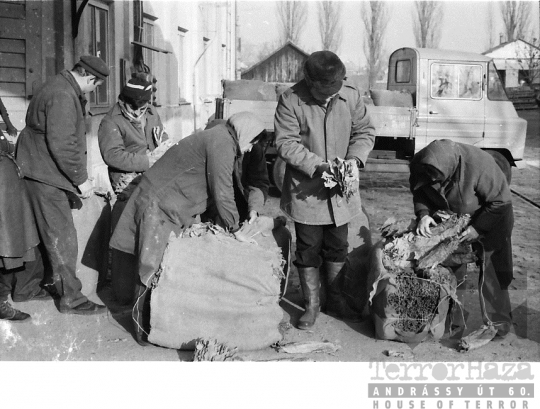 THM-BJ-06371 - Nagydorog, South Hungary, 1983 