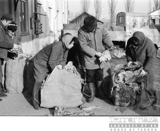 THM-BJ-06372 - Nagydorog, South Hungary, 1983 