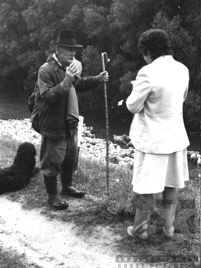 THM-BJ-06388 - Tolna county, South Hungary, Hungary, 1983 