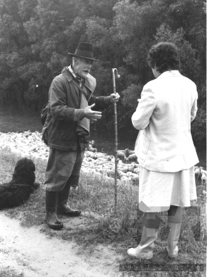 THM-BJ-06395 - Tolna county, South Hungary, Hungary, 1983 