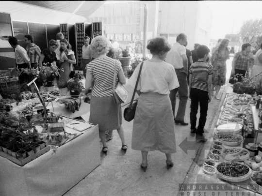 THM-BJ-06419 - Szekszárd, South Hungary, 1983