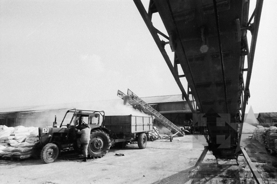 THM-BJ-06435 - Mözs, South Hungary, 1983