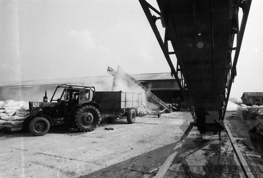 THM-BJ-06436 - Mözs, South Hungary, 1983 