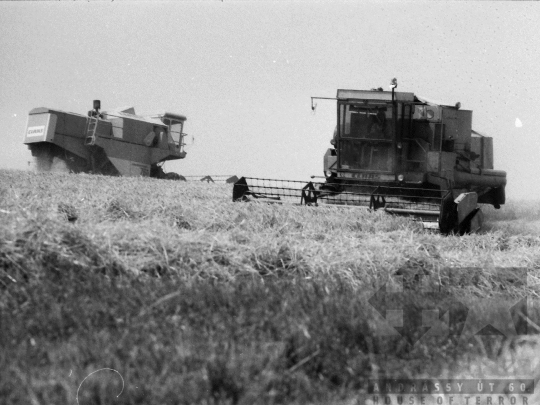 THM-BJ-06458 - Lengyel, South Hungary, 1985 