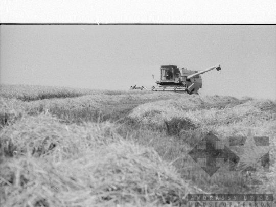 THM-BJ-06461 - Lengyel, South Hungary, 1985 