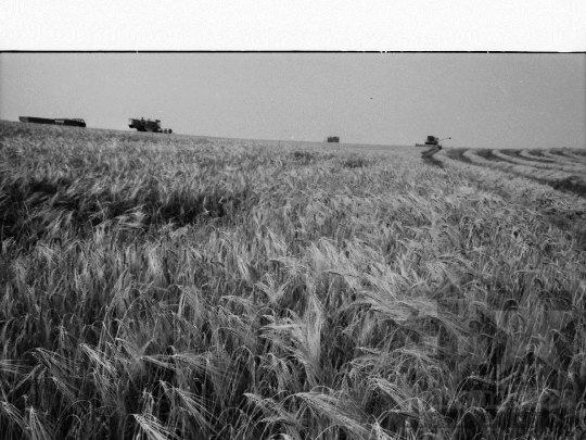 THM-BJ-06462 - Lengyel, South Hungary, 1985 