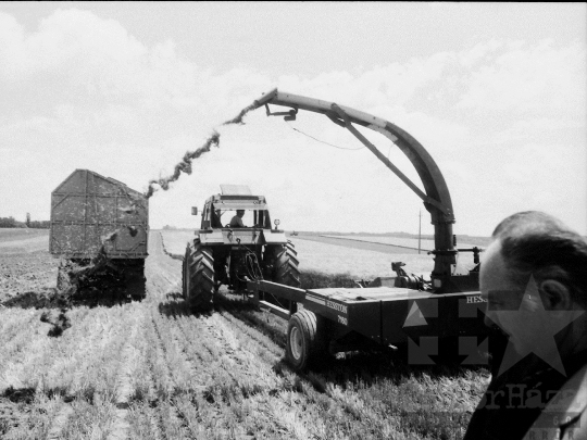 THM-BJ-06465 - Lengyel, South Hungary, 1985 