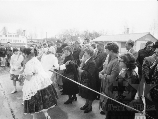 THM-BJ-06484 - Kocsola, South Hungary, 1985