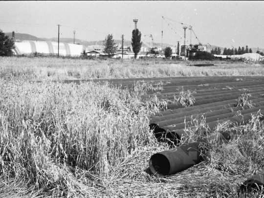 THM-BJ-06607 - Szekszárd, South Hungary, 1985 