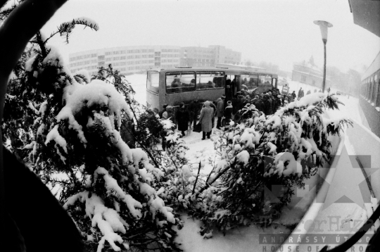 THM-BJ-06696 - Szekszárd, South Hungary, 1985