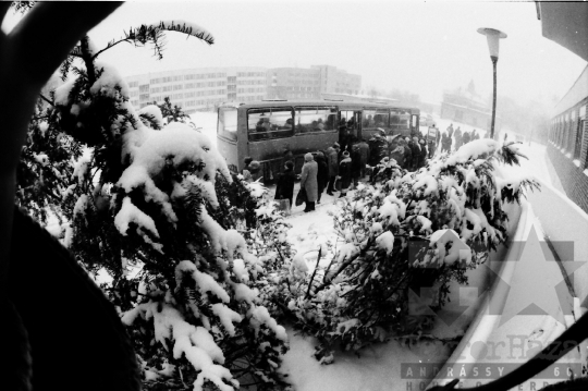 THM-BJ-06697 - Szekszárd, South Hungary, 1985