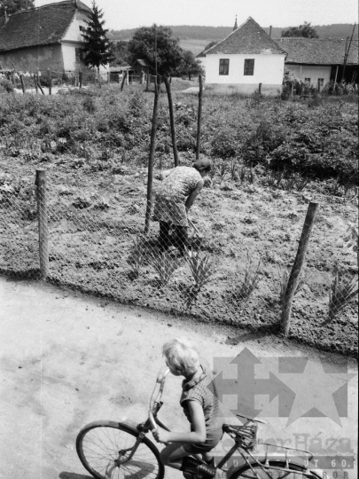 THM-BJ-06825 - Zsibrik, South Hungary, 1985