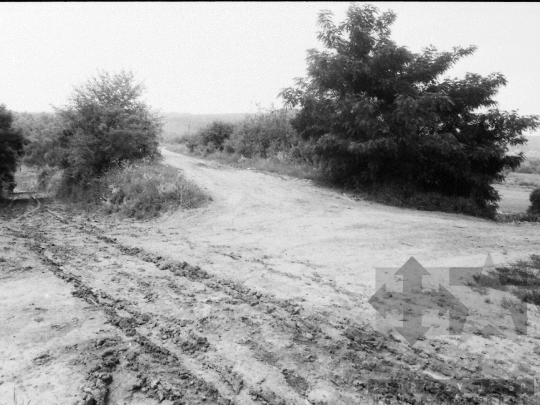 THM-BJ-06831 - Zsibrik, South Hungary, 1985