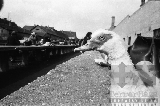 THM-BJ-07009 - Bonyhád, South Hungary, 1987