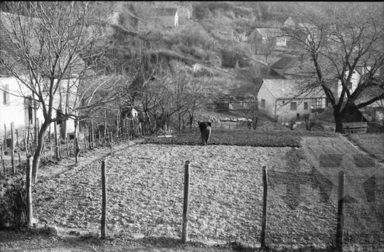 THM-BJ-07010 - Mórágy, South Hungary, 1988