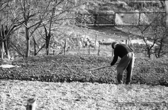 THM-BJ-07011 - Mórágy, South Hungary, 1988