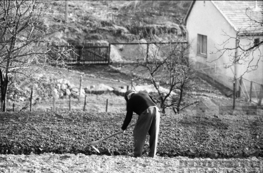 THM-BJ-07012 - Mórágy, South Hungary, 1988