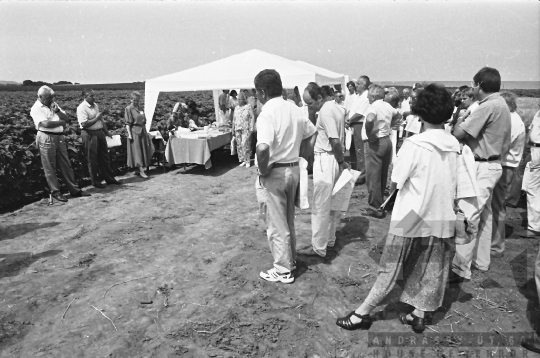 THM-BJ-07049 - Szekszárd, South Hungary, 1988 