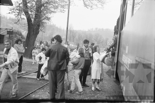 THM-BJ-07064 - Felsőnyék, South Hungary, 1988