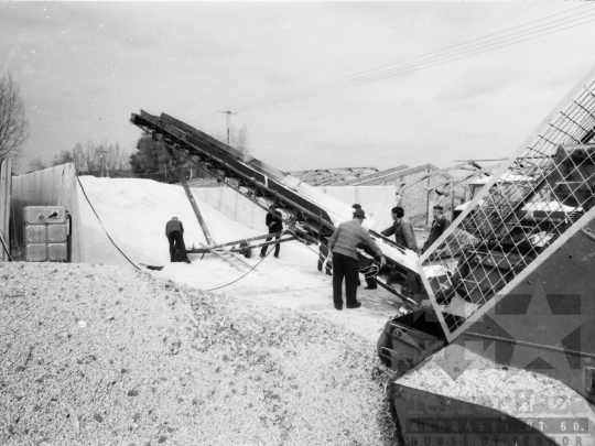 THM-BJ-07075 - Új Németkér-Hard, South Hungary, 1981 