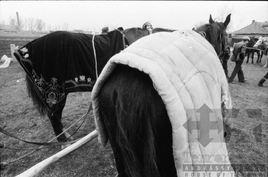 THM-BJ-07155 - Szekszárd, South Hungary, 1973