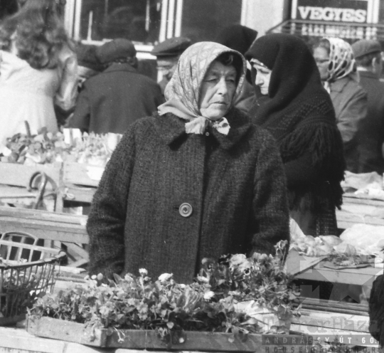 THM-BJ-07158 - Szekszárd, South Hungary, 1973