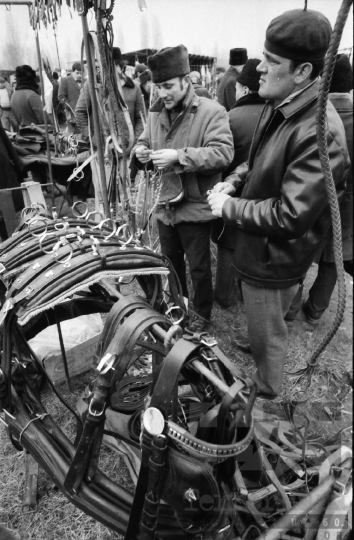 THM-BJ-07163 - Szekszárd, South Hungary, 1973