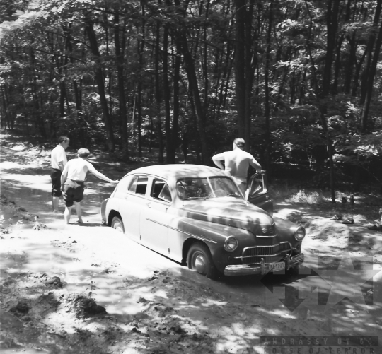 THM-BJ-07312 - Kanacs-Paks, South Hungary, 1966