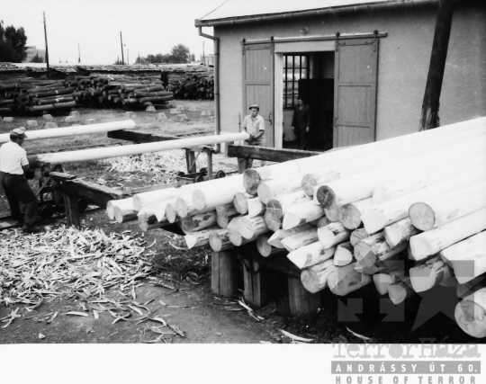 THM-BJ-07437 - Dombóvár, South Hungary, 1967 