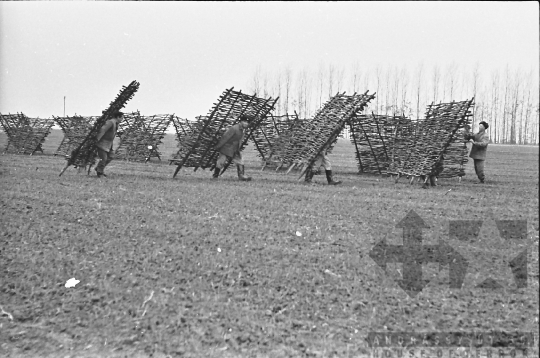 THM-BJ-07502 - Tolna county, South Hungary, Hungary, 1968