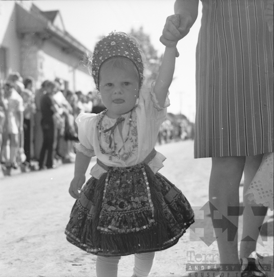 THM-BJ-07587 - Decs, South Hungary, 1976