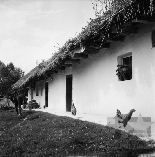 THM-BJ-07641 - Gyulaj, South Hungary, 1977