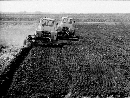 THM-BJ-07663 - Aparhant, South Hungary, 1977