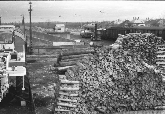 THM-BJ-07669 - Nagydorog, South Hungary, 1977