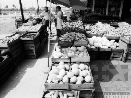 THM-BJ-07670 - Szekszárd, South Hungary, 1977