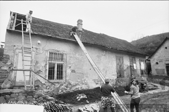 THM-BJ-07826 - Mórágy, South Hungary, 1982