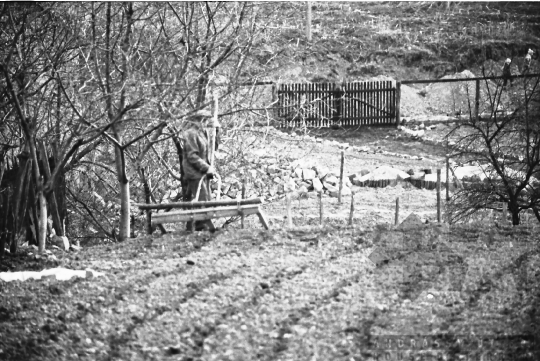 THM-BJ-07885 - Mórágy, South Hungary, 1988