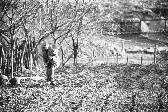 THM-BJ-07887 - Mórágy, South Hungary, 1988