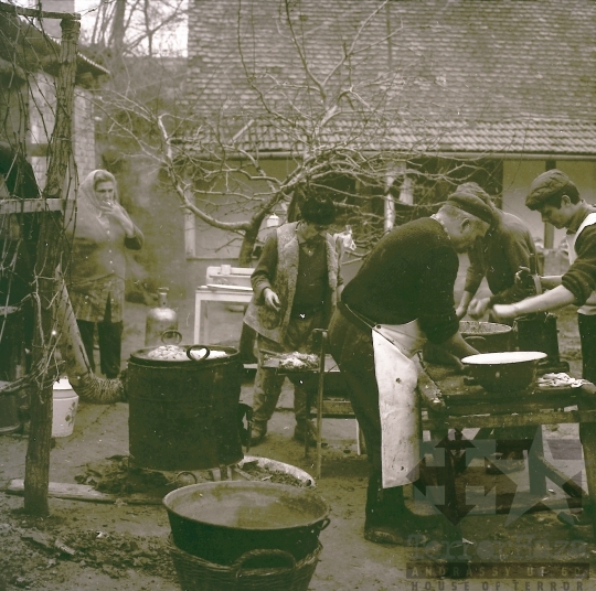 THM-BJ-08046 - Szekszárd, South Hungary, 1972