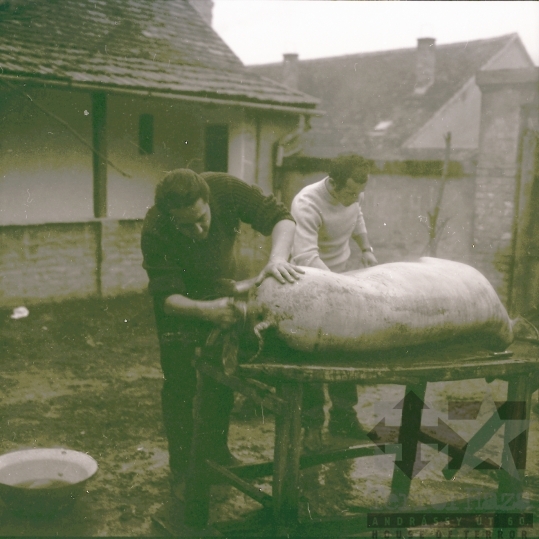 THM-BJ-08047 - Szekszárd, South Hungary, 1972