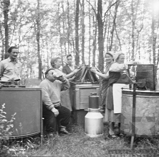 THM-BJ-08196 - Szekszárd-Sötétvölgy, South Hungary, 1960 