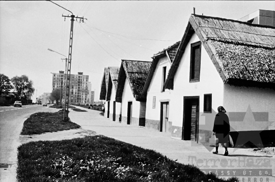 THM-BJ-08302 - Szekszárd, South Hungary, 1979