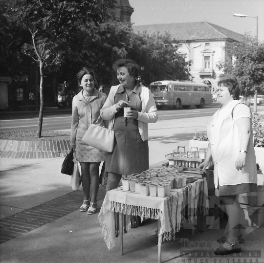 THM-BJ-08328 - Szekszárd, South Hungary, 1980