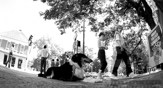 THM-BJ-08369 - Szekszárd, South Hungary, 1978